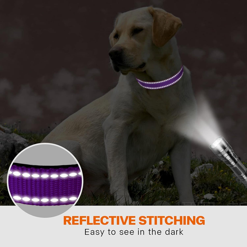 Taglory Reflective Nylon Dog Collar with Safety | ObaPet