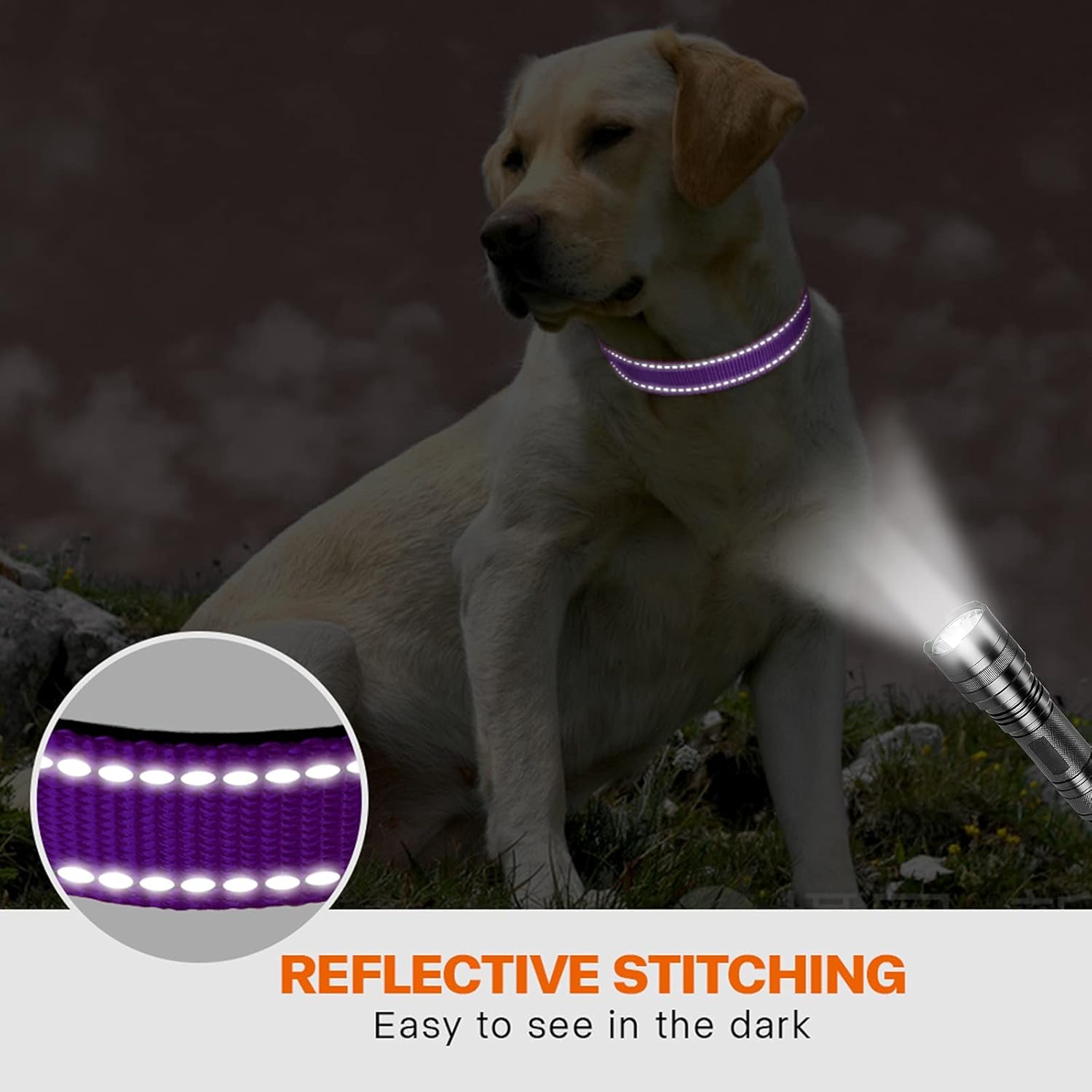 Taglory Reflective Nylon Dog Collar with Safety | ObaPet