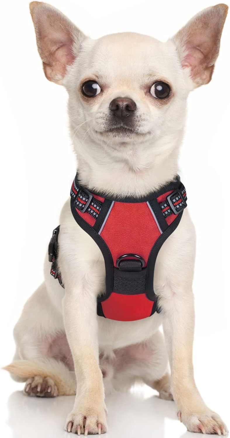 rabbitgoo Dog Harness Dog No Pull Pet Harness | ObaPet