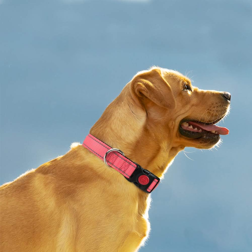 Taglory Reflective Nylon Dog Collar with Safety | ObaPet