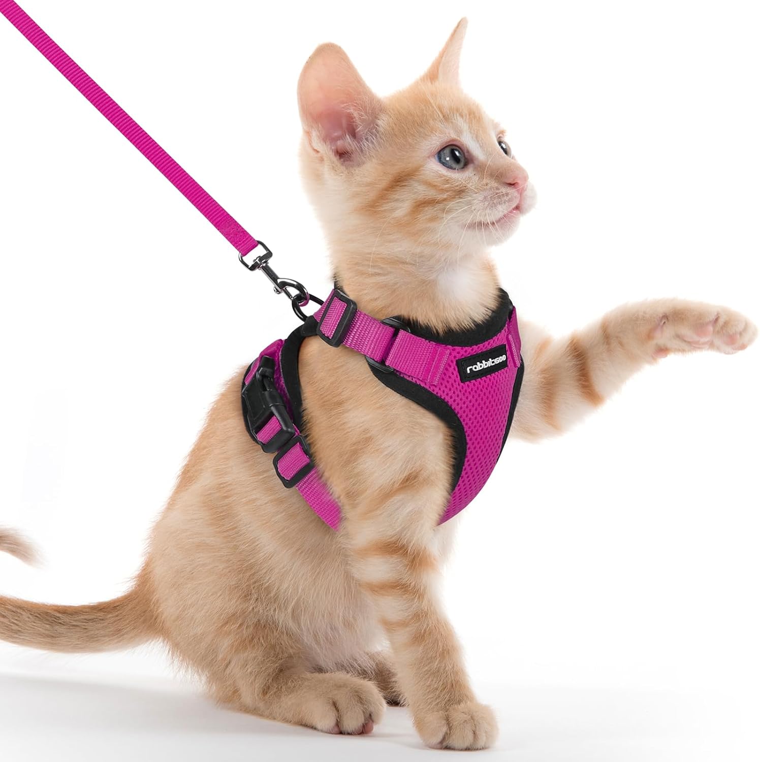 rabbitgoo Cat Harness and Lead Set, Escape Proof | ObaPet
