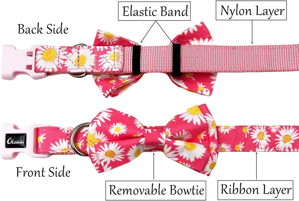 Olahibi Daisy Pattern Dog Collar and Leash | ObaPet