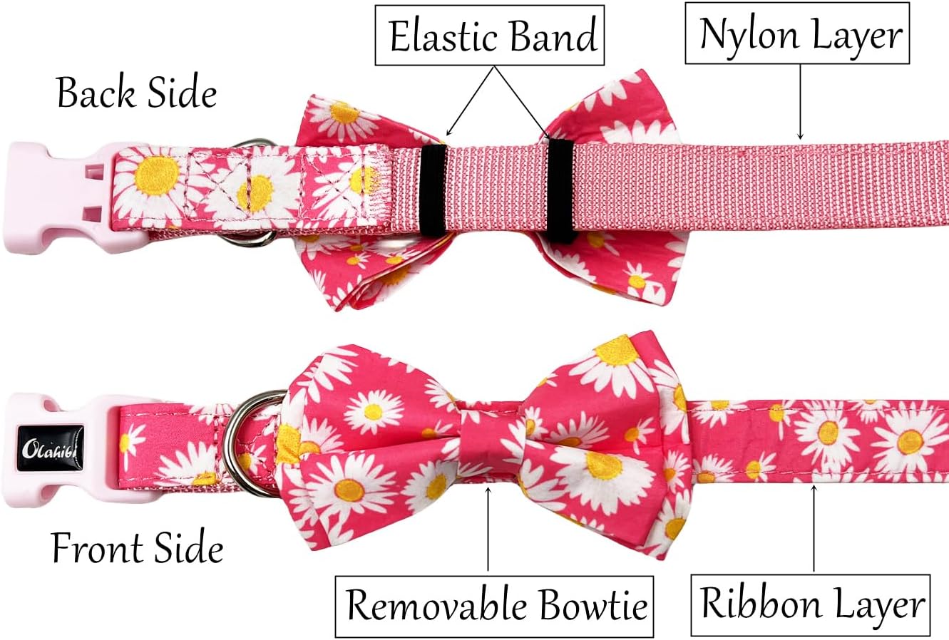 Olahibi Daisy Pattern Dog Collar and Leash | ObaPet