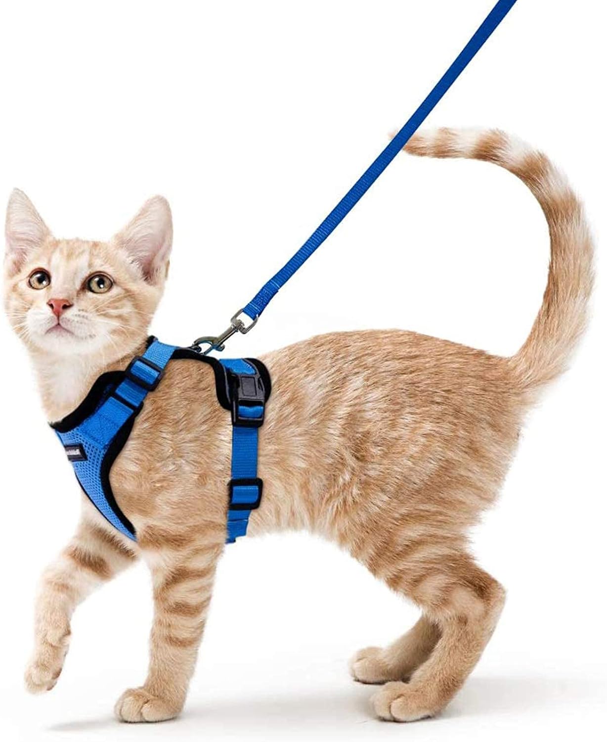rabbitgoo Cat Harness and Lead Set, Escape Proof | ObaPet