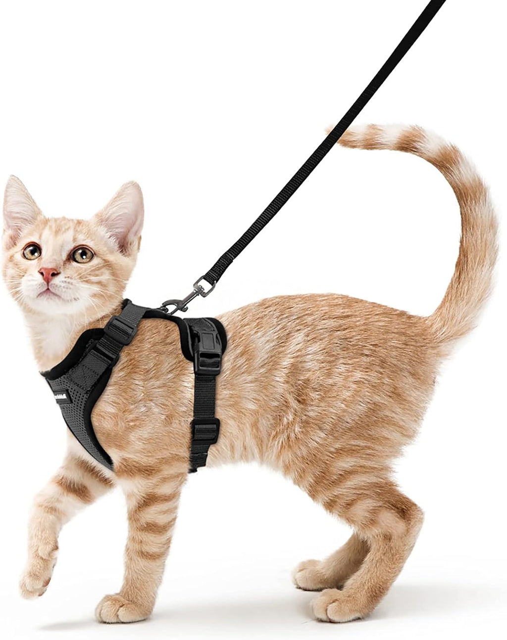 rabbitgoo Cat Harness and Lead Set, Escape Proof | ObaPet