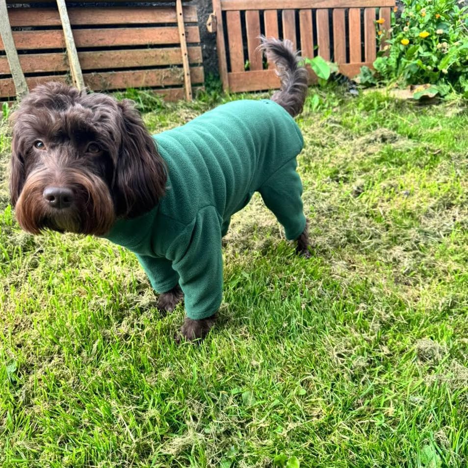 Warm Four-Legged Dog Fleece – Super Soft, Weather-Resistant (Coral, Medium)