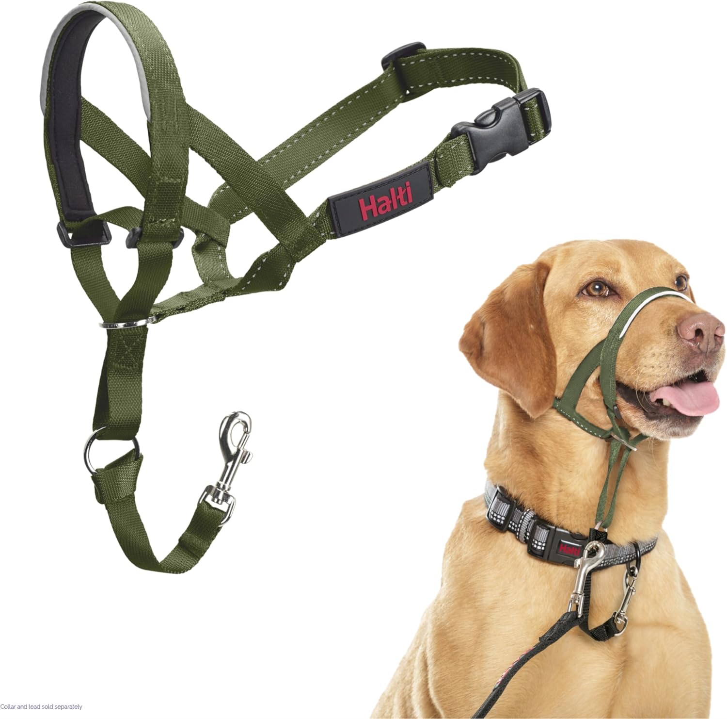 HALTI Headcollar, UK Bestselling Harness to Stop | ObaPet