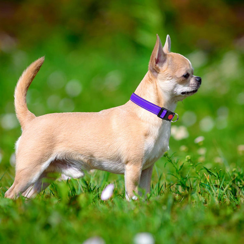 Taglory Reflective Nylon Dog Collar with Safety | ObaPet