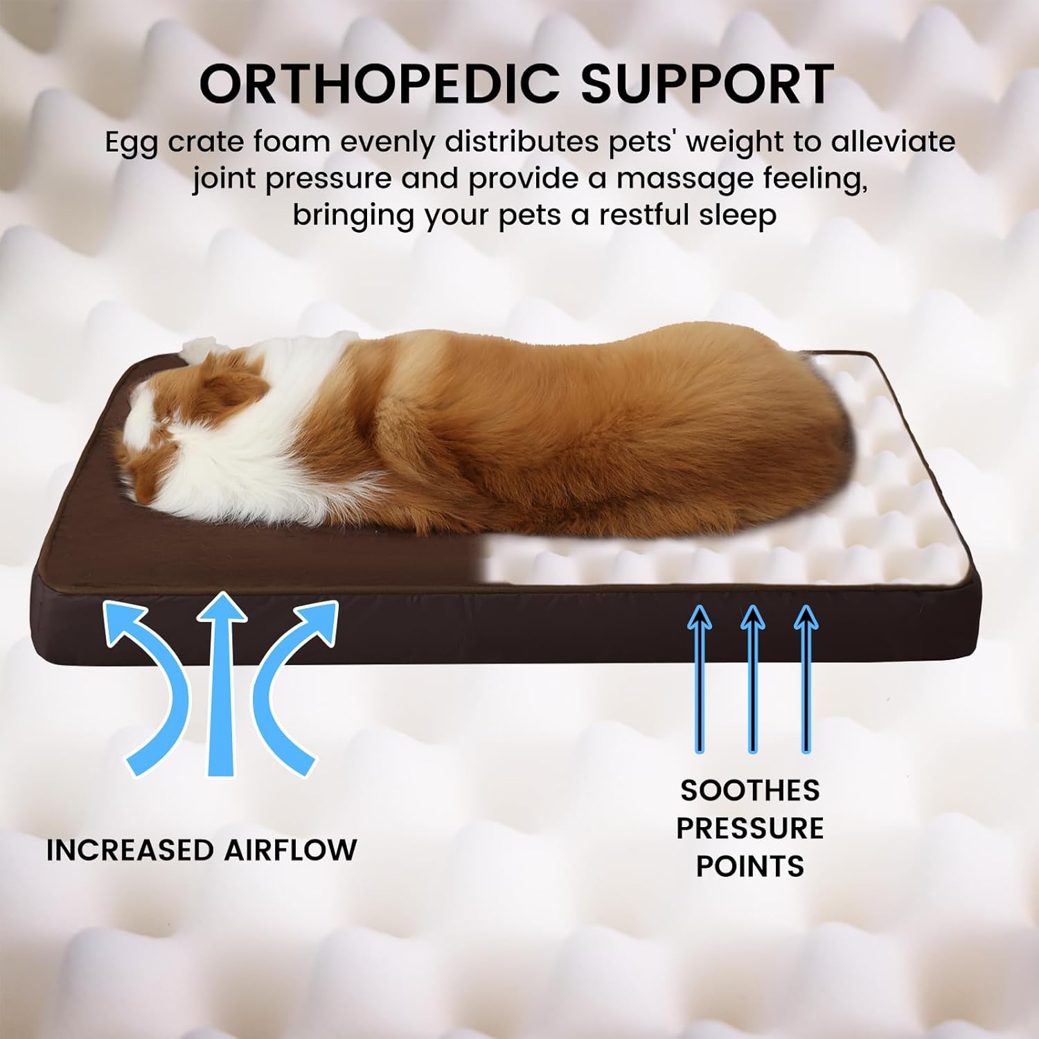 Jaspuriea Orthopedic Dog Beds Washable with | ObaPet