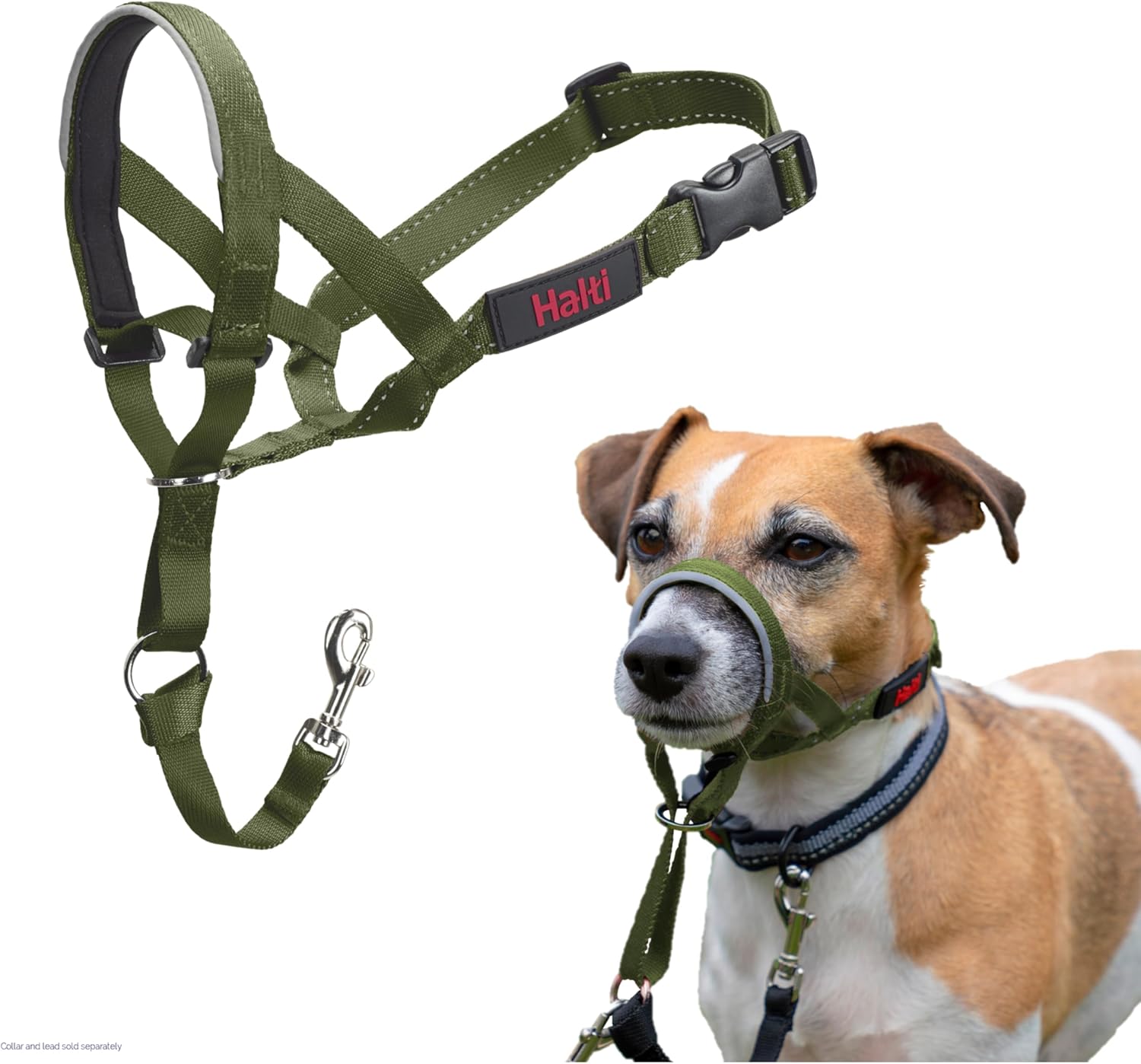 HALTI Headcollar, UK Bestselling Harness to Stop | ObaPet