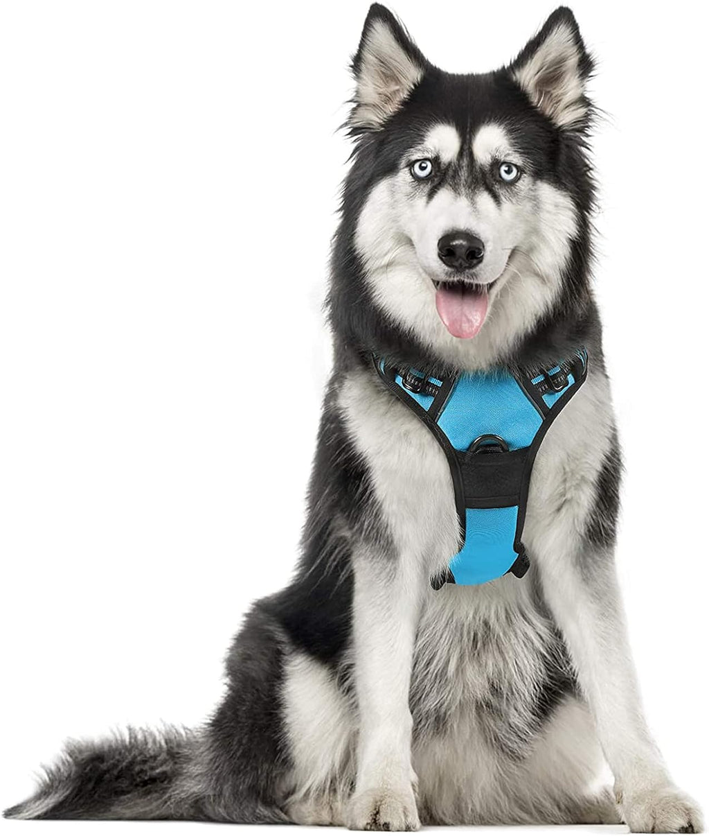 rabbitgoo Dog Harness Dog No Pull Pet Harness | ObaPet