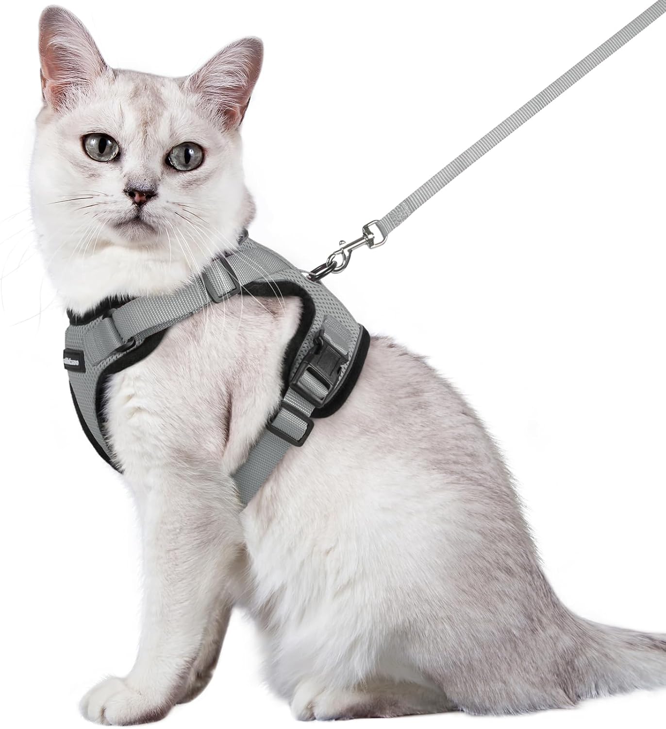 rabbitgoo Cat Harness and Lead Set, Escape Proof | ObaPet