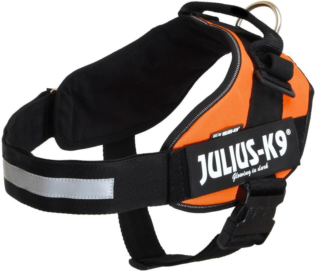 Julius-K9, 16IDC-P-0, IDC Powerharness, dog | ObaPet