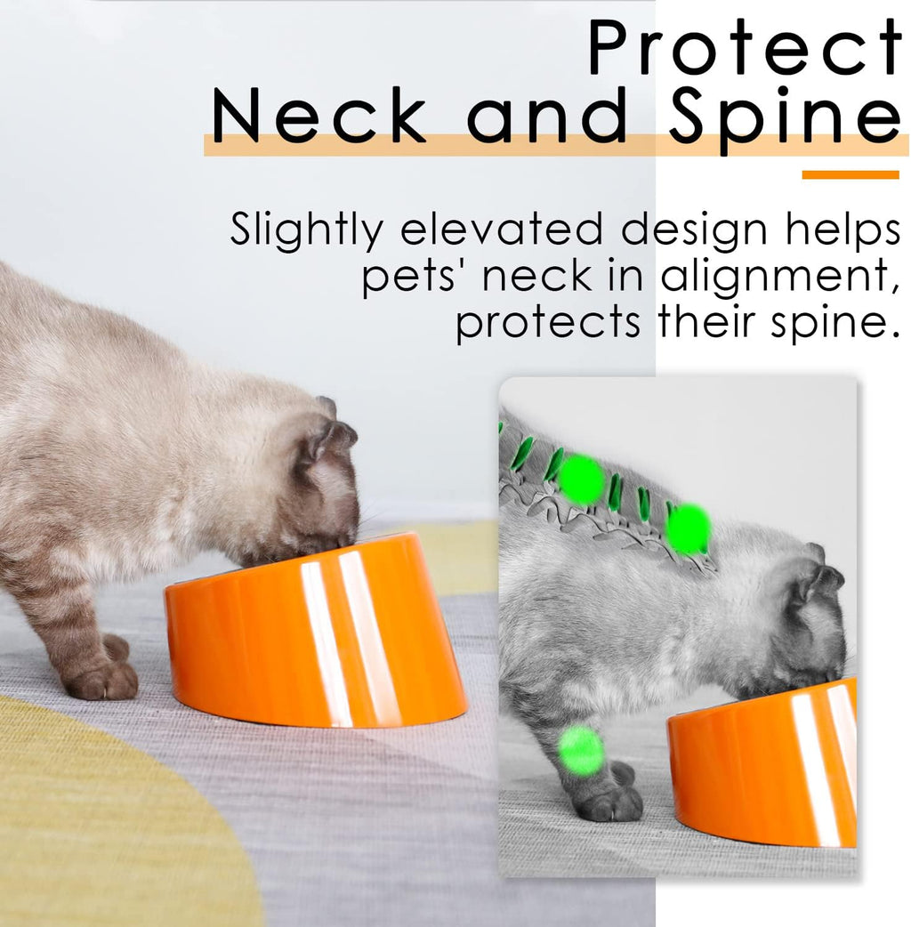 SuperDesign Mess Free 15° Slanted Bowl for Dogs | ObaPet