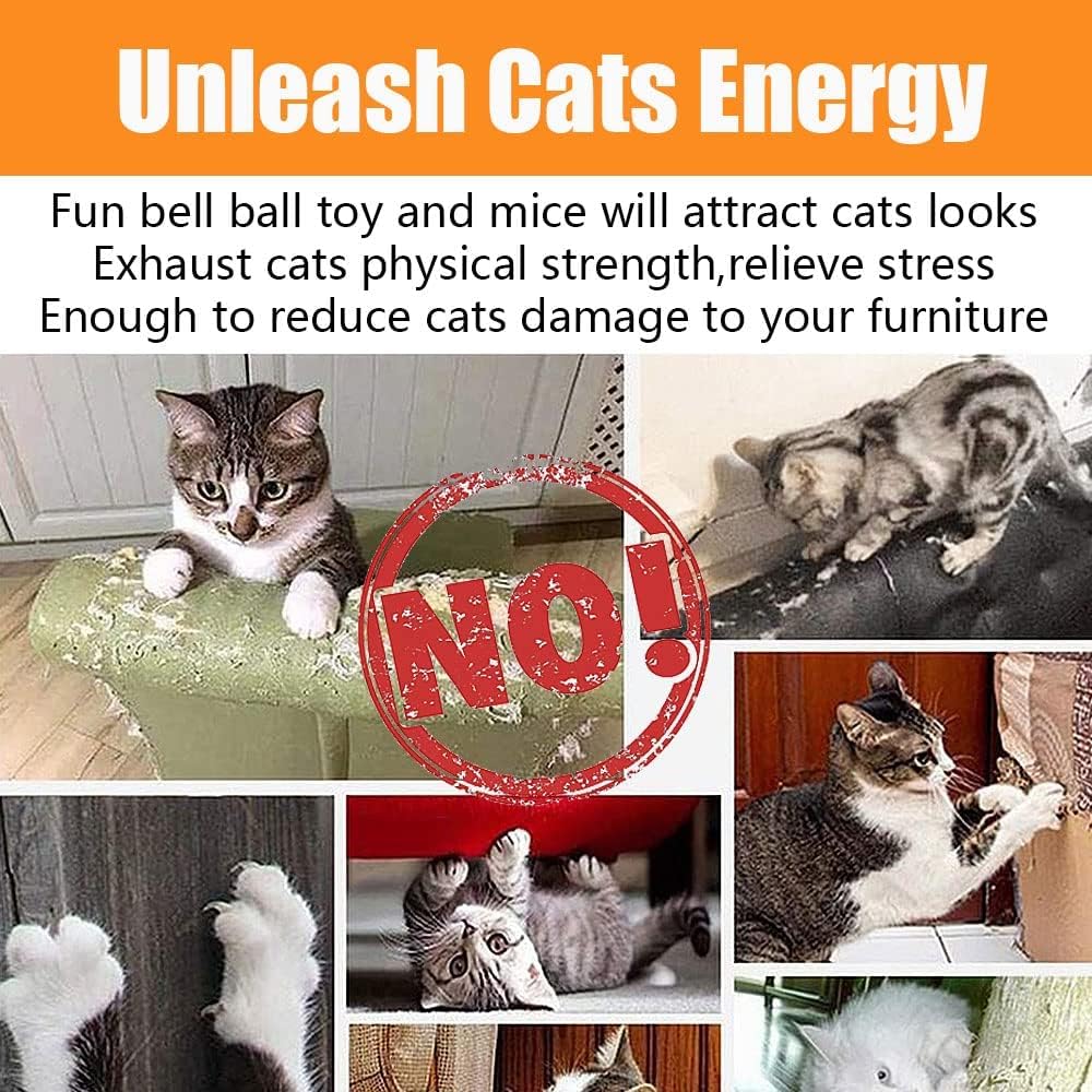 21 Pcs Cat Toys for Indoor Cats Collapsible Cat | ObaPet