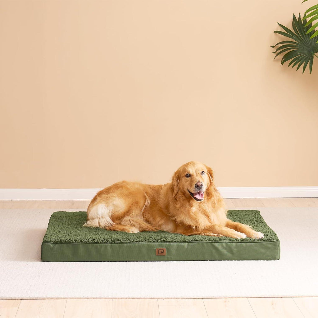 EHEYCIGA Orthopedic Dog Beds Small, Medium, | ObaPet