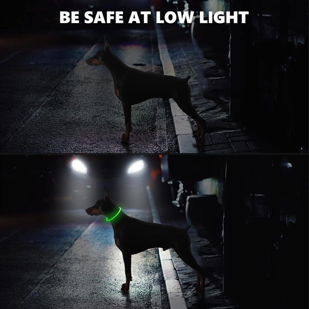 SerDa-Run Light Up Dog Collar, Dog Collar Lights | ObaPet