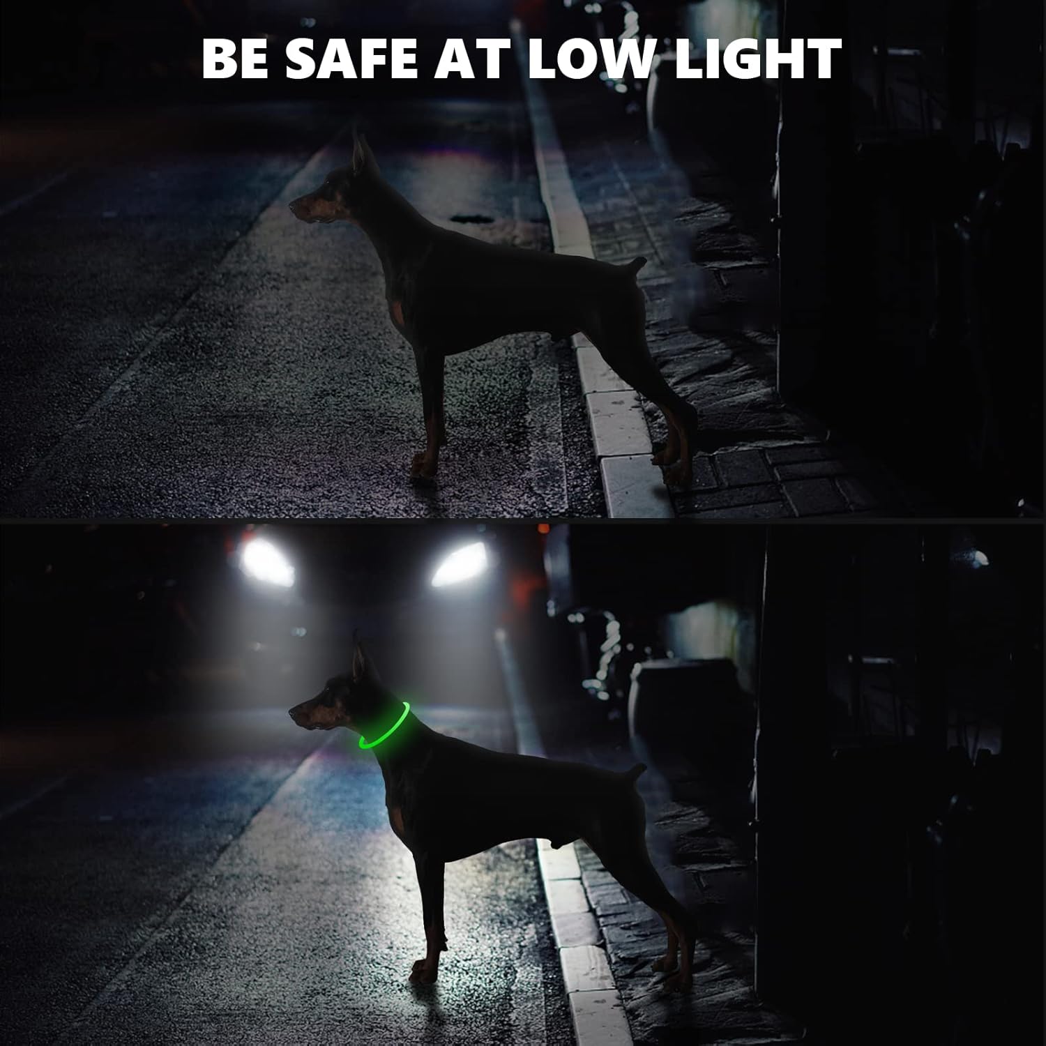 SerDa-Run Light Up Dog Collar, Dog Collar Lights | ObaPet