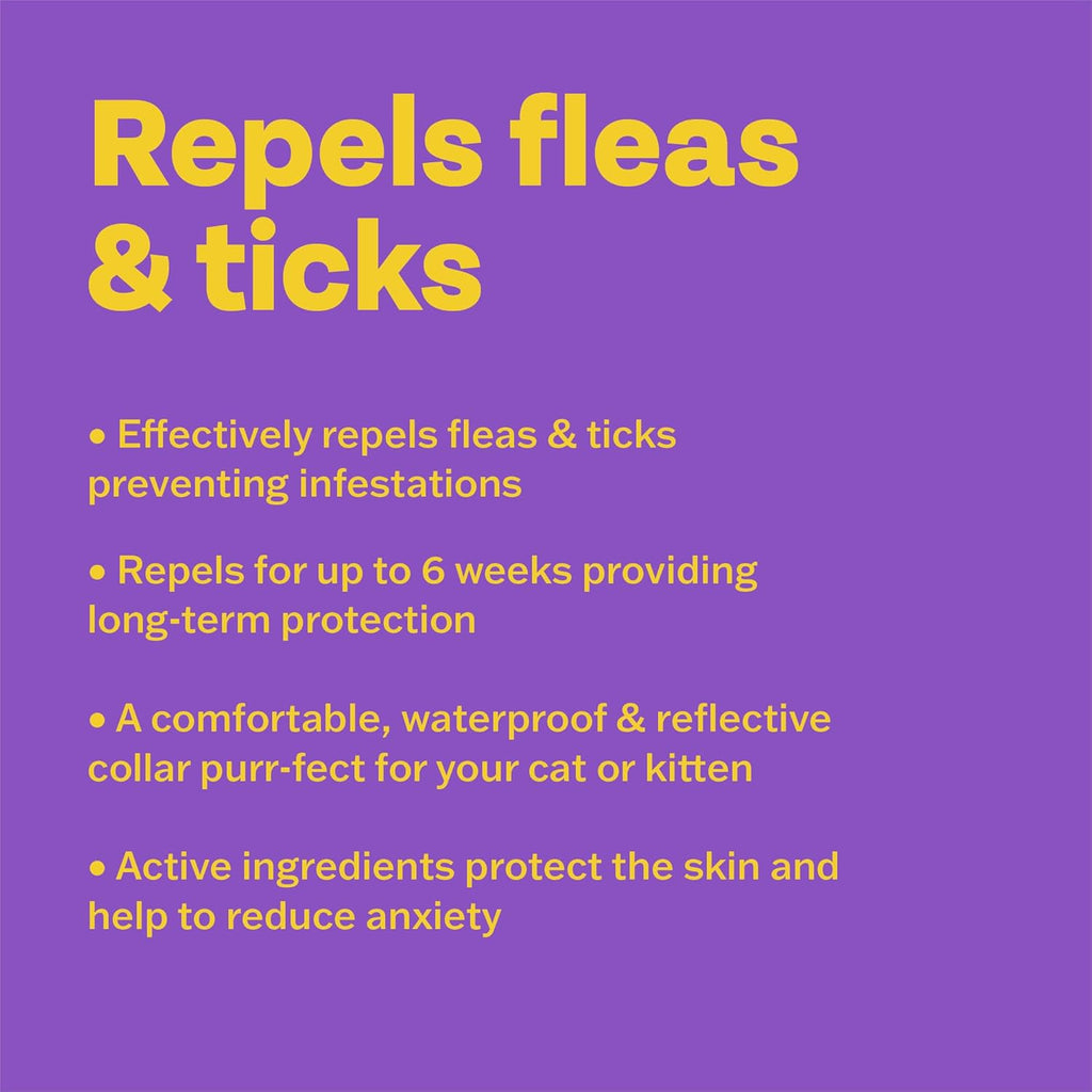 Bob Martin Clear Flea Repellent Collar for Cats | ObaPet