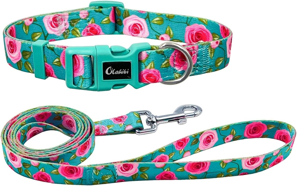 Olahibi Daisy Pattern Dog Collar and Leash | ObaPet