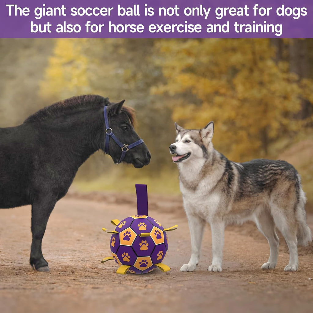 HETOO Interactive Dog Football Toys with Grab Tabs, Durable Dog Water Balls for Small Medium Breed, Indoor & Outdoor