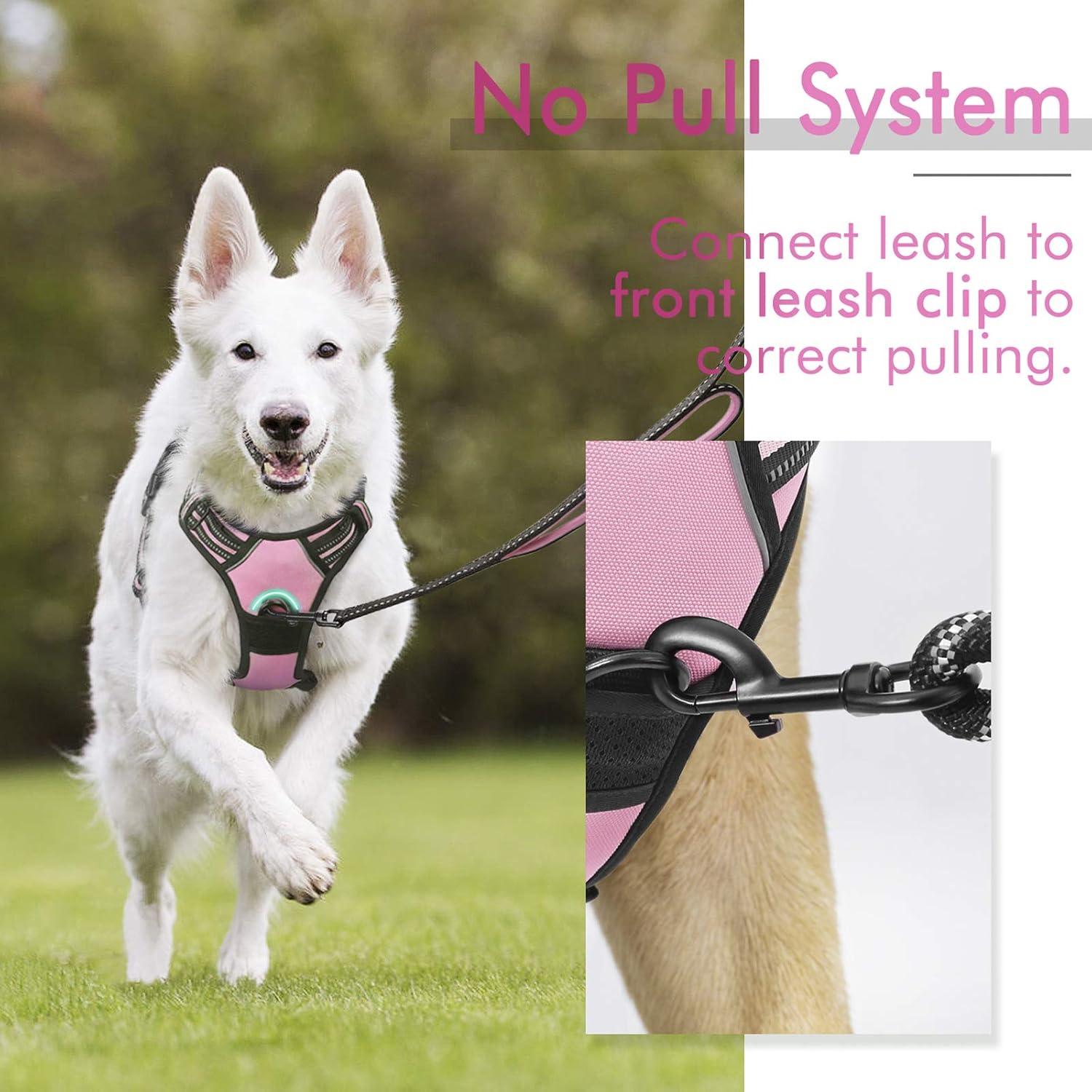 rabbitgoo Dog Harness Dog No Pull Pet Harness | ObaPet