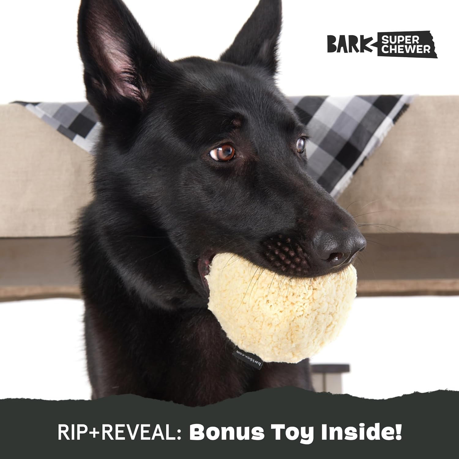 Barkbox Squeaky Dog Toys - Plush and Squeak Chew Toys | Puppy and Pet Toys for Large Dogs Pinata - Large