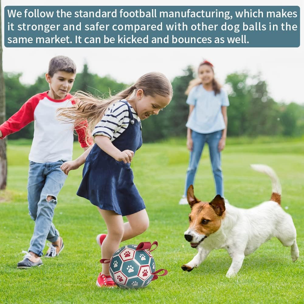 HETOO Interactive Dog Football Toys with Grab Tabs, Durable Dog Water Balls for Small Medium Breed, Indoor & Outdoor