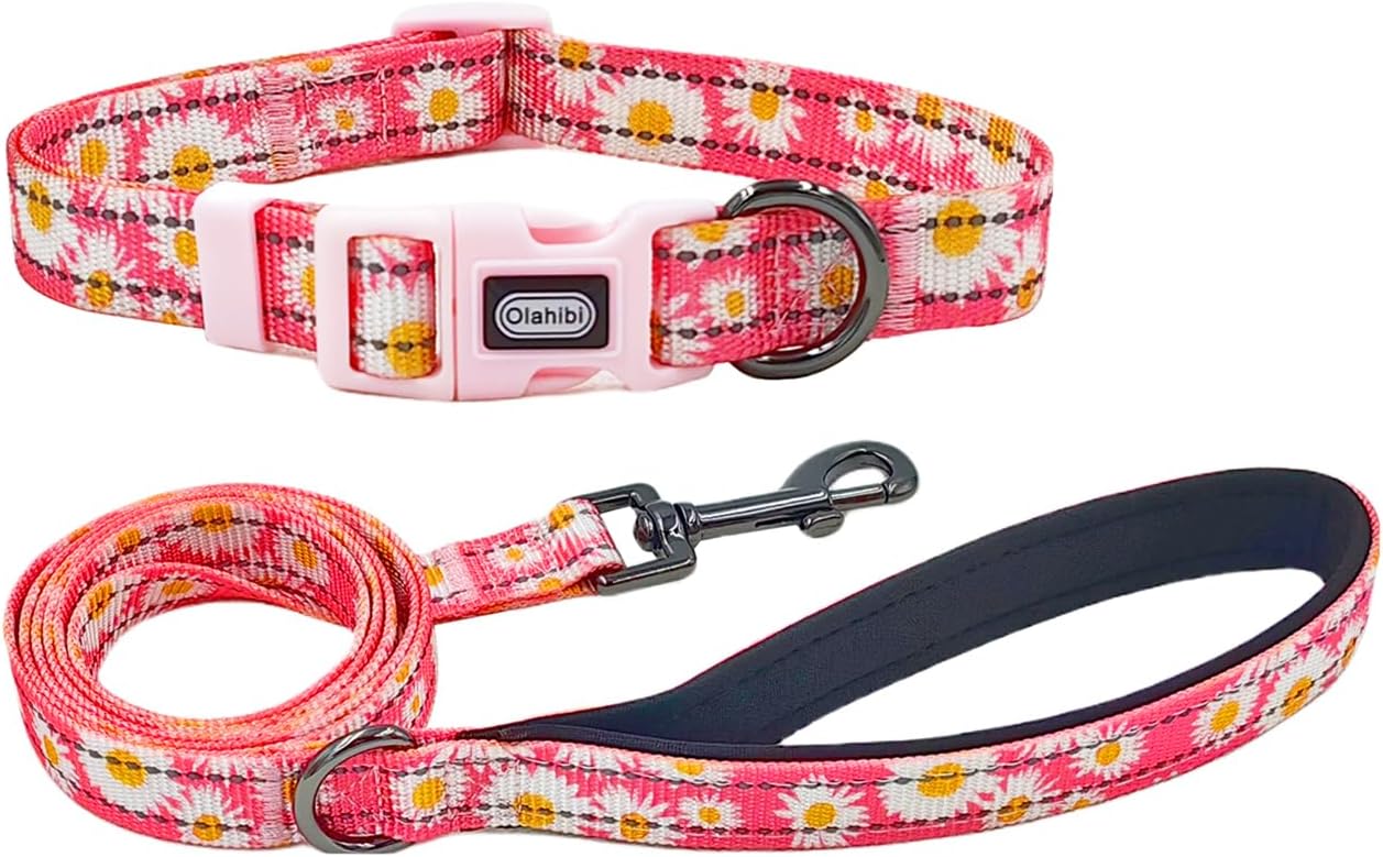 Olahibi Daisy Pattern Dog Collar and Leash | ObaPet