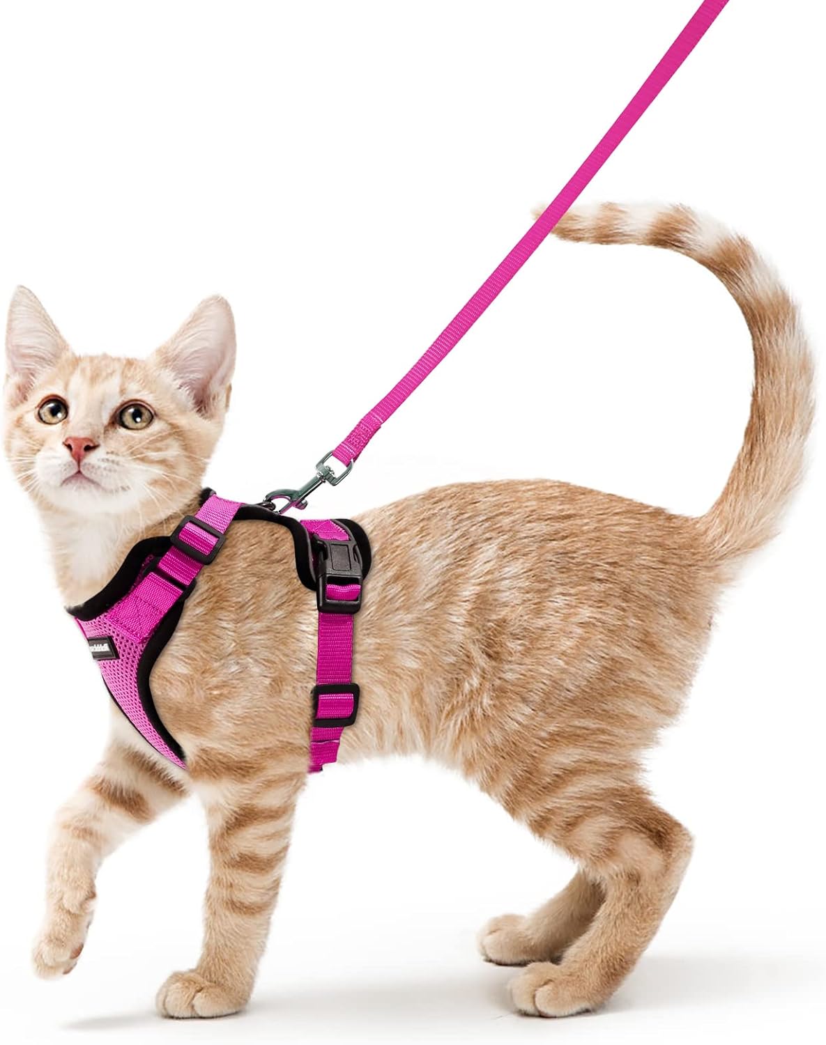 rabbitgoo Cat Harness and Lead Set, Escape Proof | ObaPet