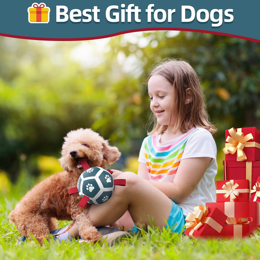 HETOO Interactive Dog Football Toys with Grab Tabs, Durable Dog Water Balls for Small Medium Breed, Indoor & Outdoor