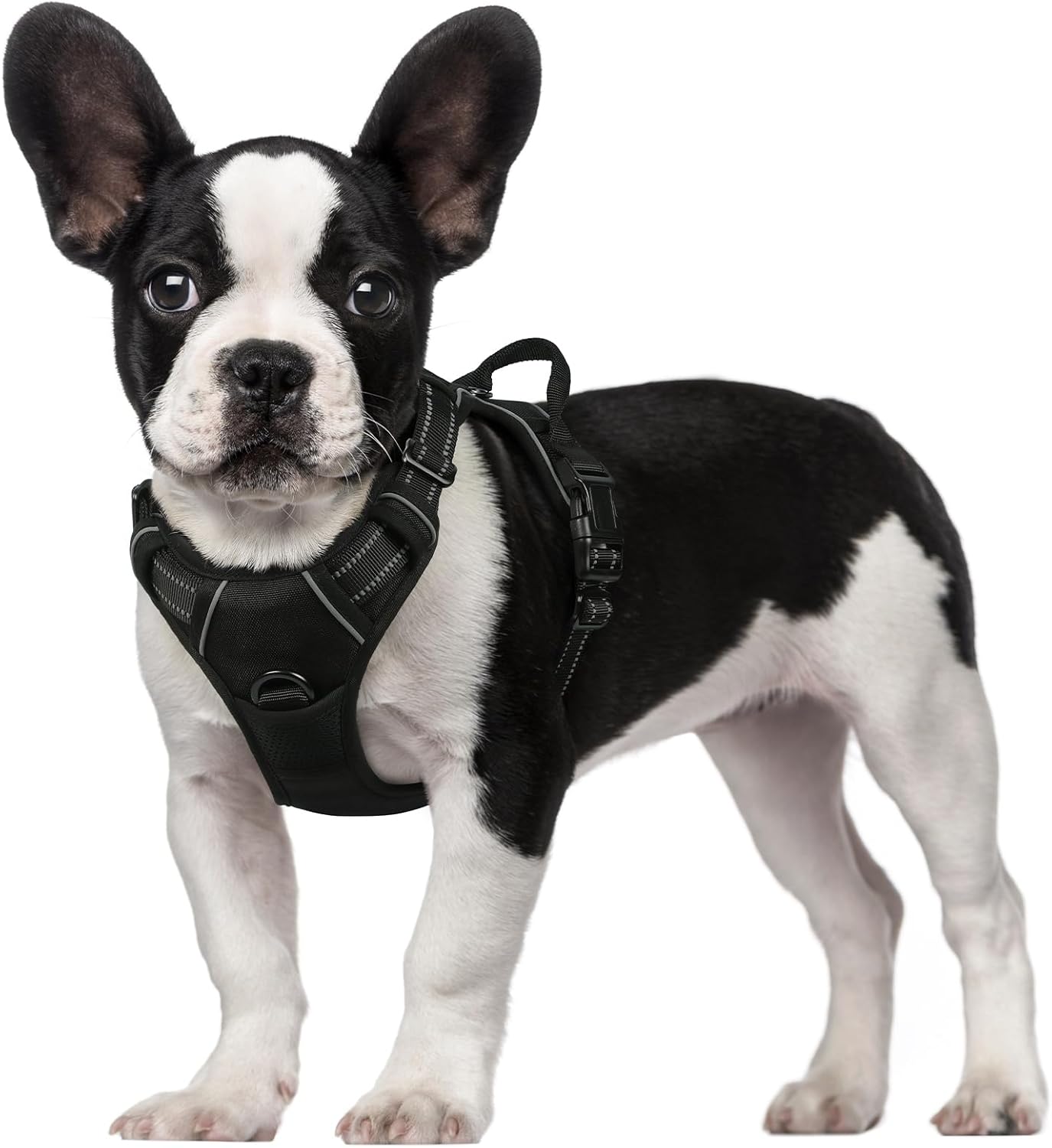 rabbitgoo Dog Harness Dog No Pull Pet Harness | ObaPet