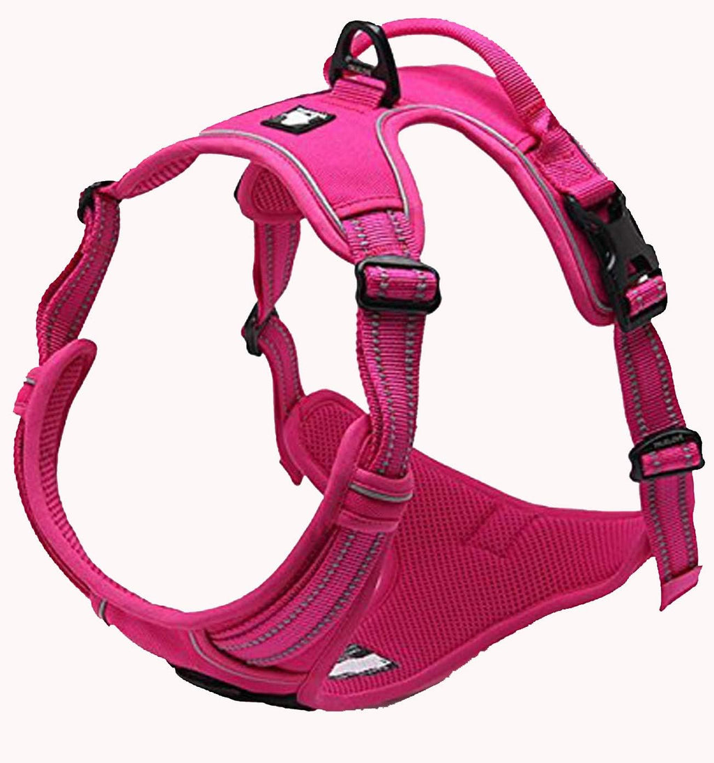 TrueLove Dog Harness TLH5651 No-pull Reflective | ObaPet