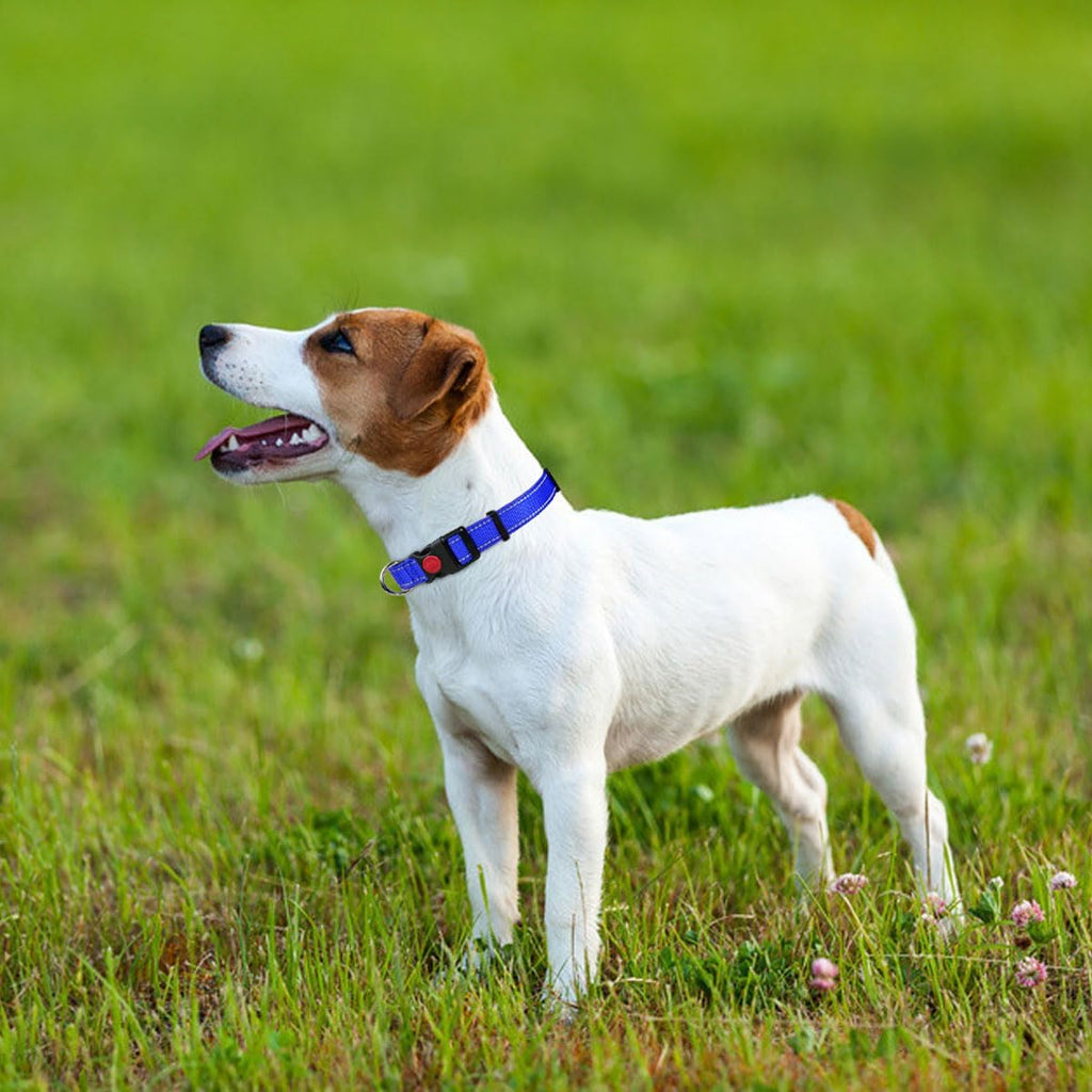 Taglory Reflective Nylon Dog Collar with Safety | ObaPet