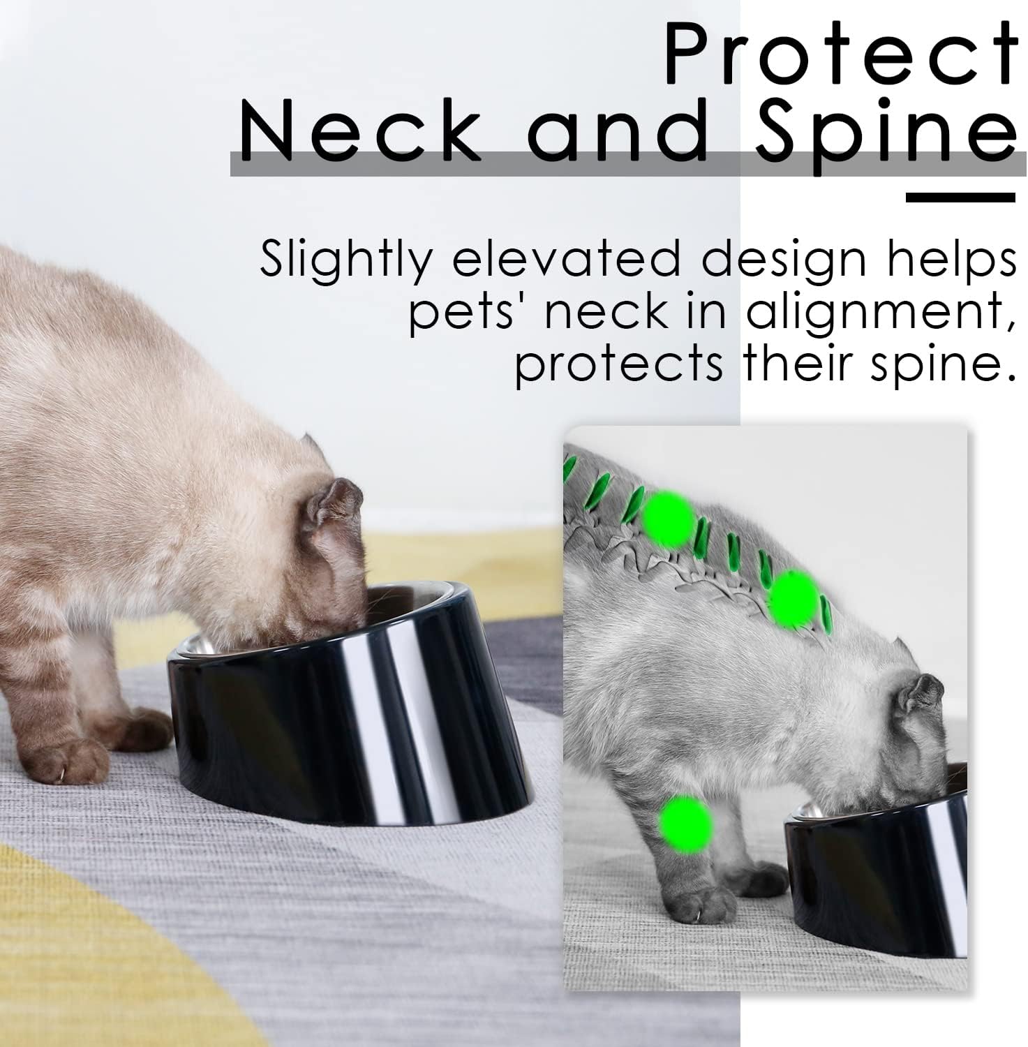 SuperDesign Mess Free 15° Slanted Bowl for Dogs | ObaPet
