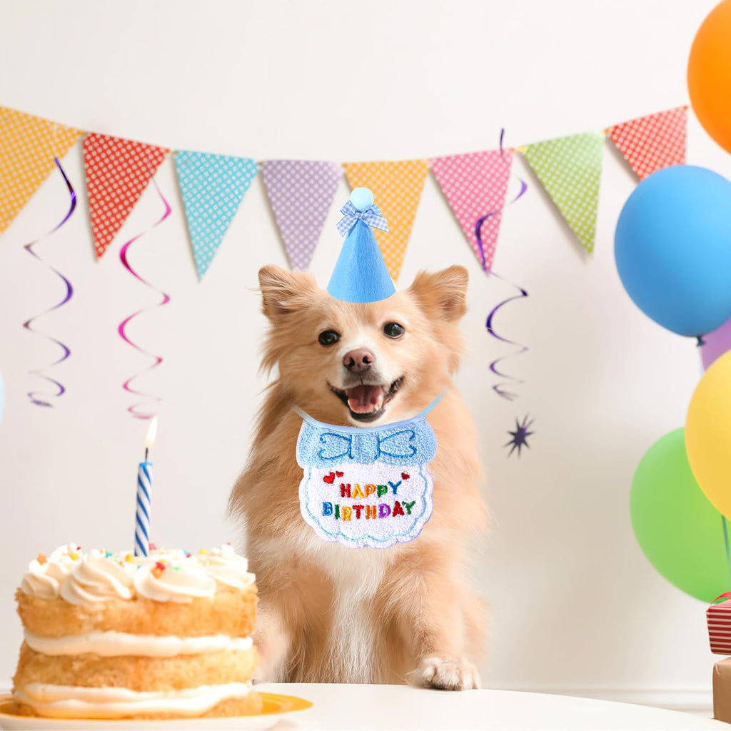 Small Dog Cat Birthday Hat Scarf Set,Cute Cat | ObaPet