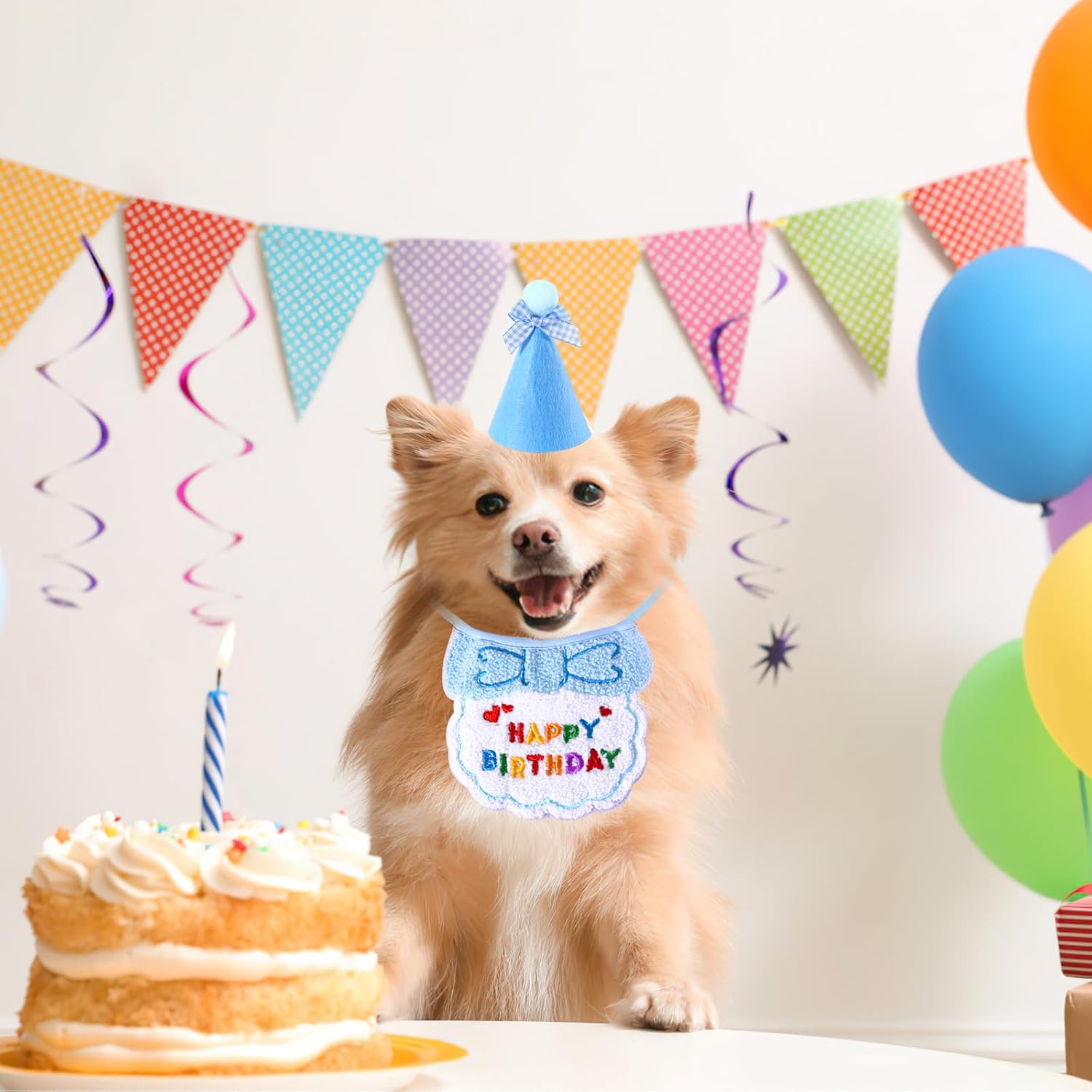 Small Dog Cat Birthday Hat Scarf Set,Cute Cat | ObaPet