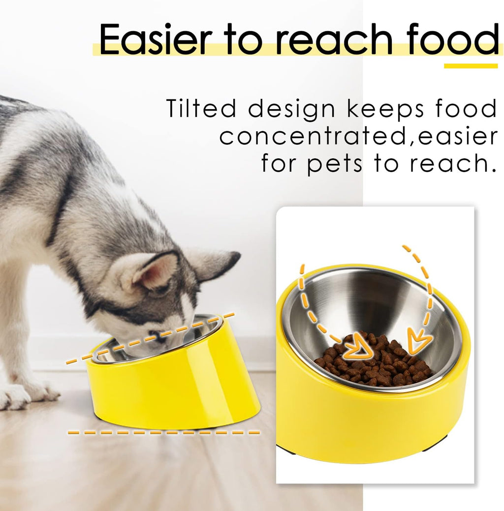 SuperDesign Mess Free 15° Slanted Bowl for Dogs | ObaPet