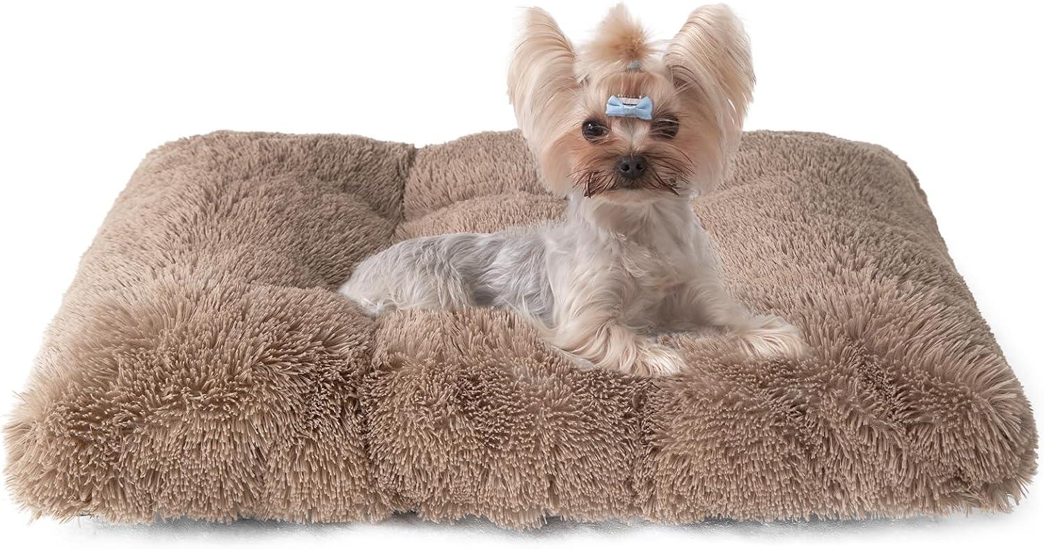 EHEYCIGA Calming Dog Bed Medium, Fluffy Anti | ObaPet