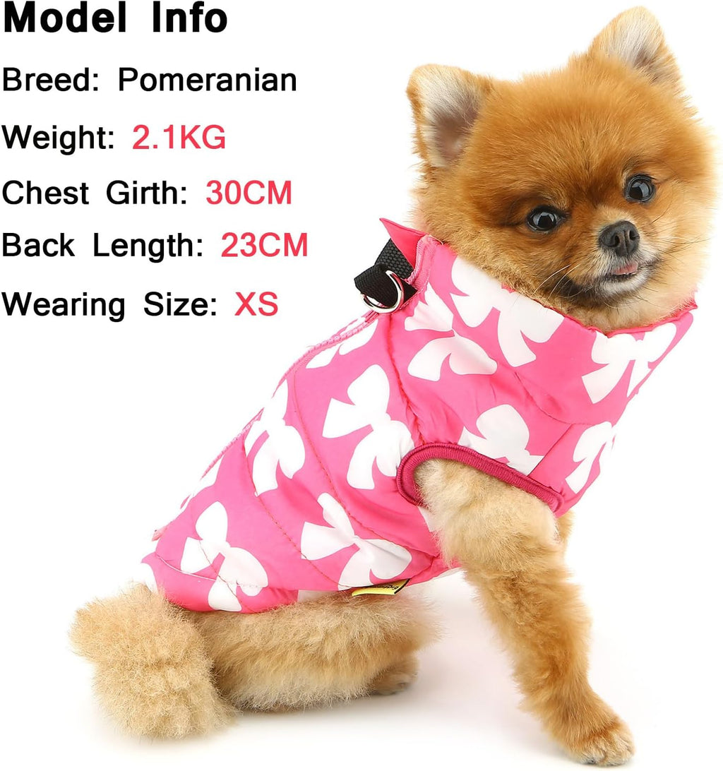 SMALLLEE_LUCKY_STORE Small Dog Cat Winter Coat Harness Jacket with D-ring Boy Girl Pet Puppy Comfort Padded Bomber Vest No Pull Chihuahua Clothes Pink Bows XS