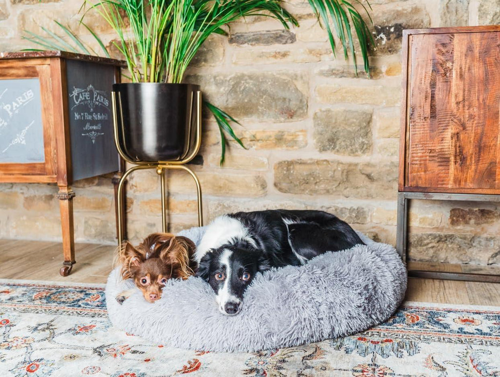 Woof & Whiskers Donut Beds For Dogs Grey Dog Bed | ObaPet