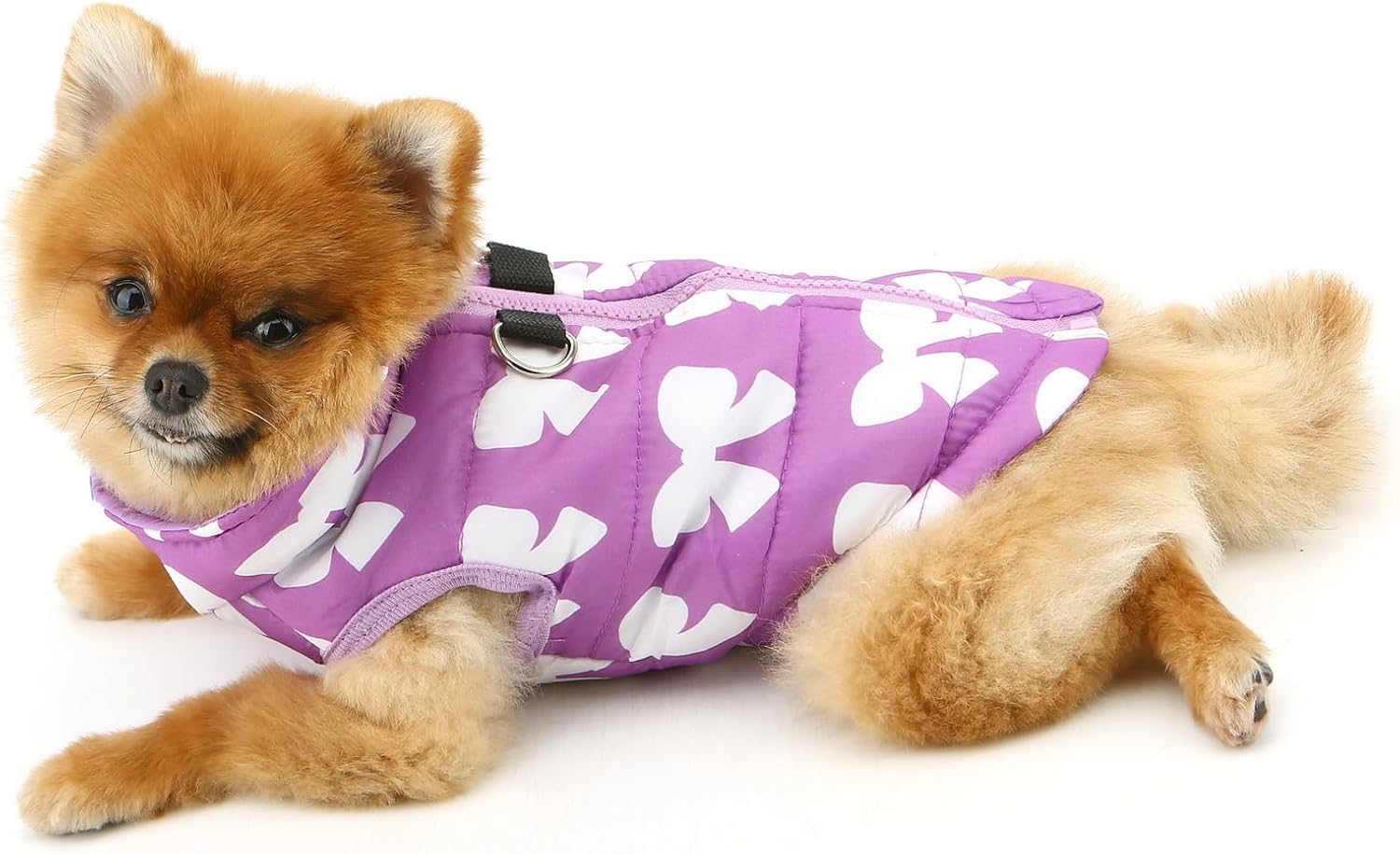 SMALLLEE_LUCKY_STORE Small Dog Cat Winter Coat Harness Jacket with D-ring Boy Girl Pet Puppy Comfort Padded Bomber Vest No Pull Chihuahua Clothes Pink Bows XS