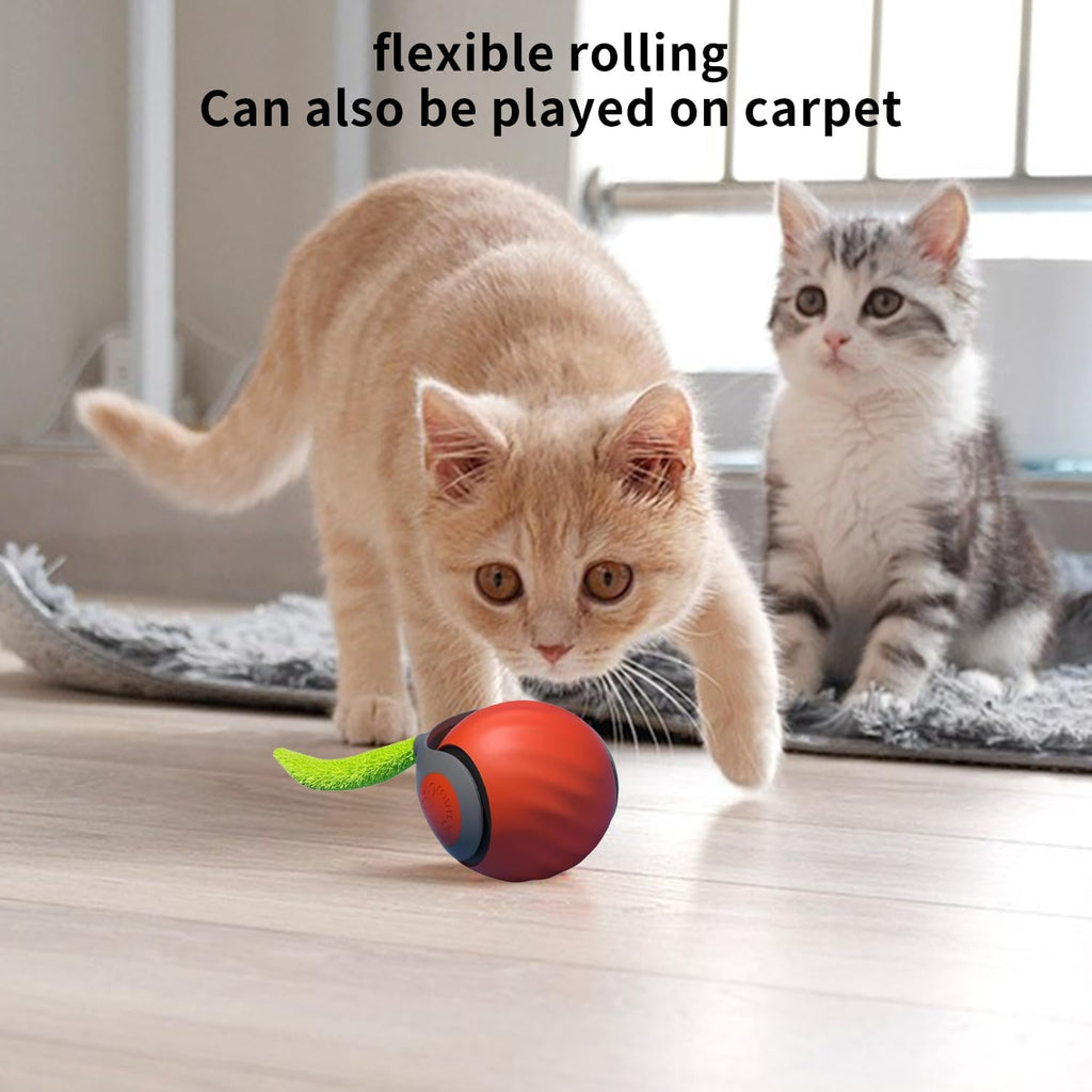 Speedy Tail Cat Toy, Speedy Tail 2.0, Smart | ObaPet
