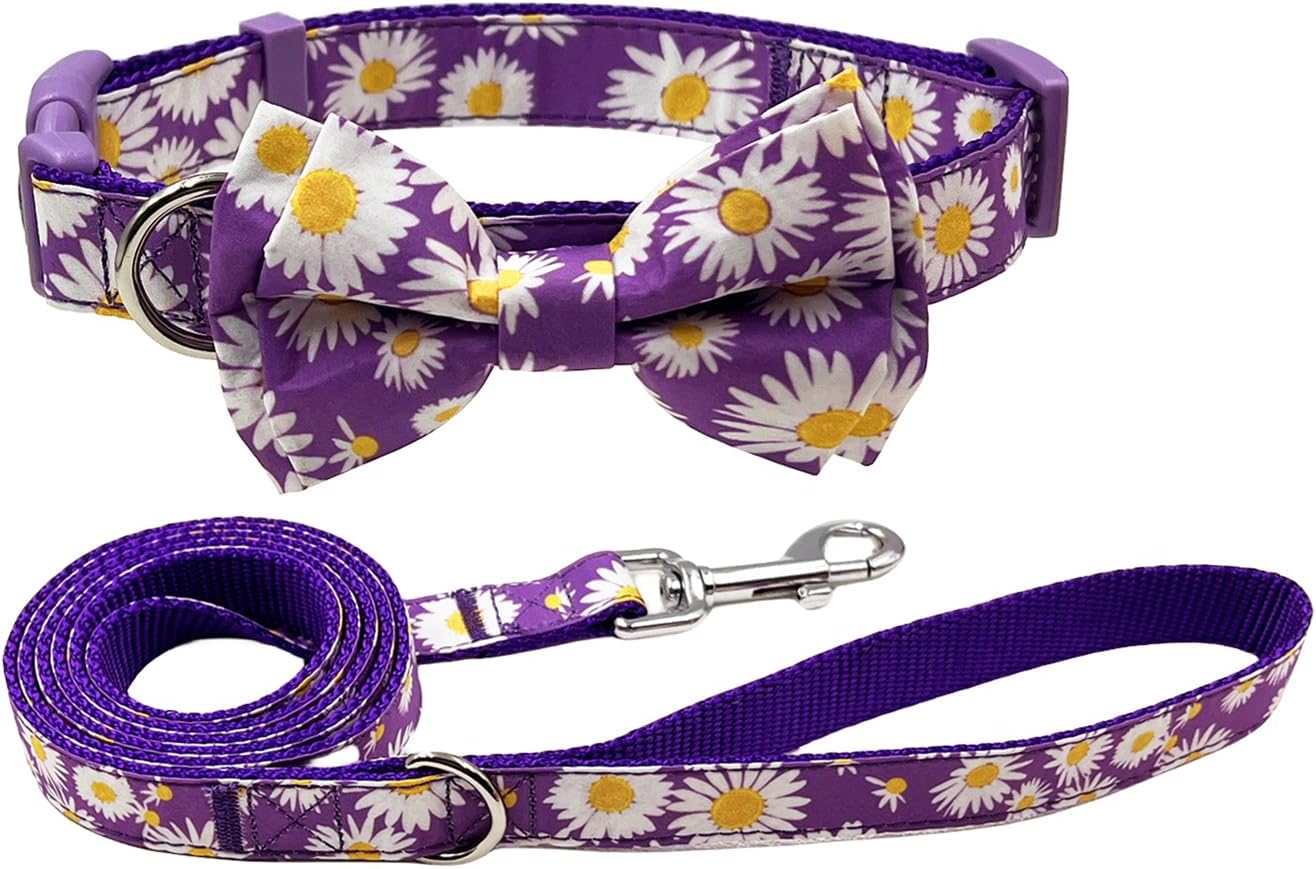 Olahibi Daisy Pattern Dog Collar and Leash | ObaPet