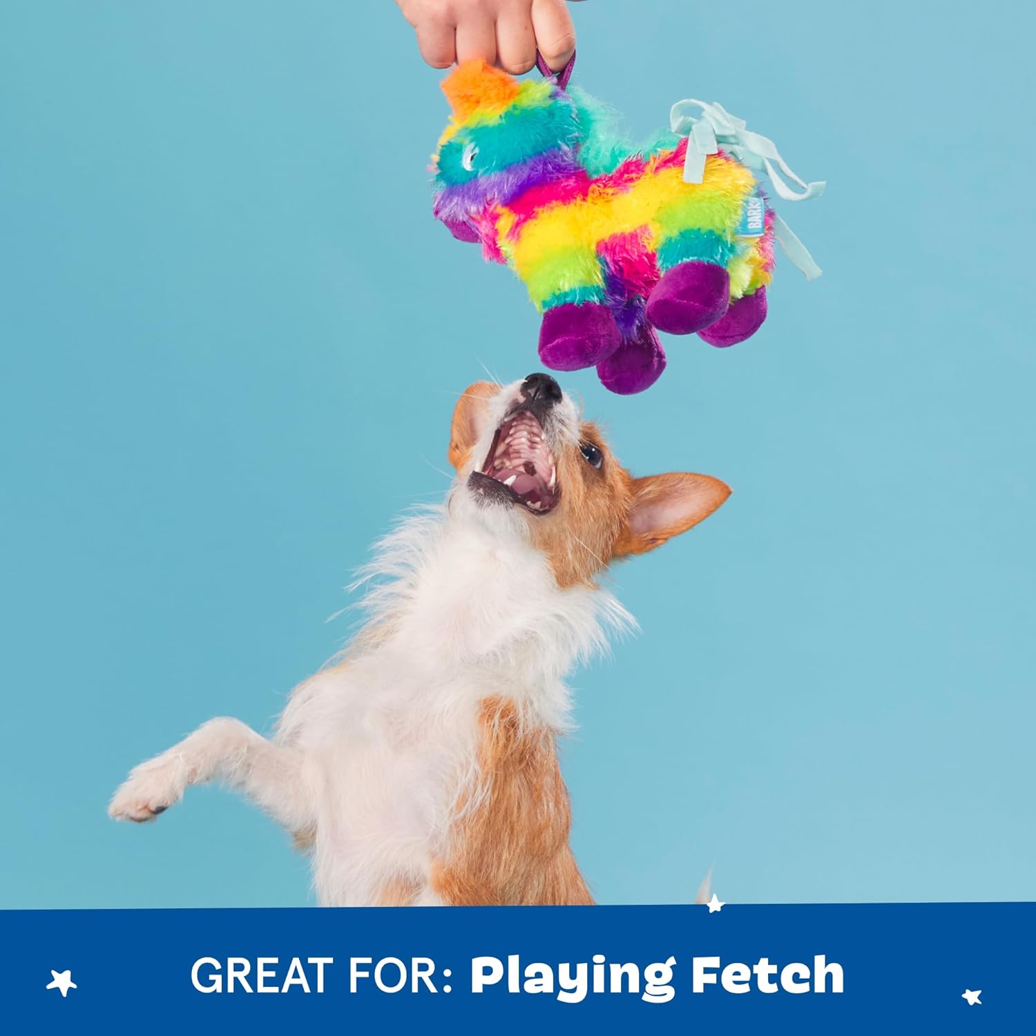 Barkbox Squeaky Dog Toys - Plush and Squeak Chew Toys | Puppy and Pet Toys for Large Dogs Pinata - Large
