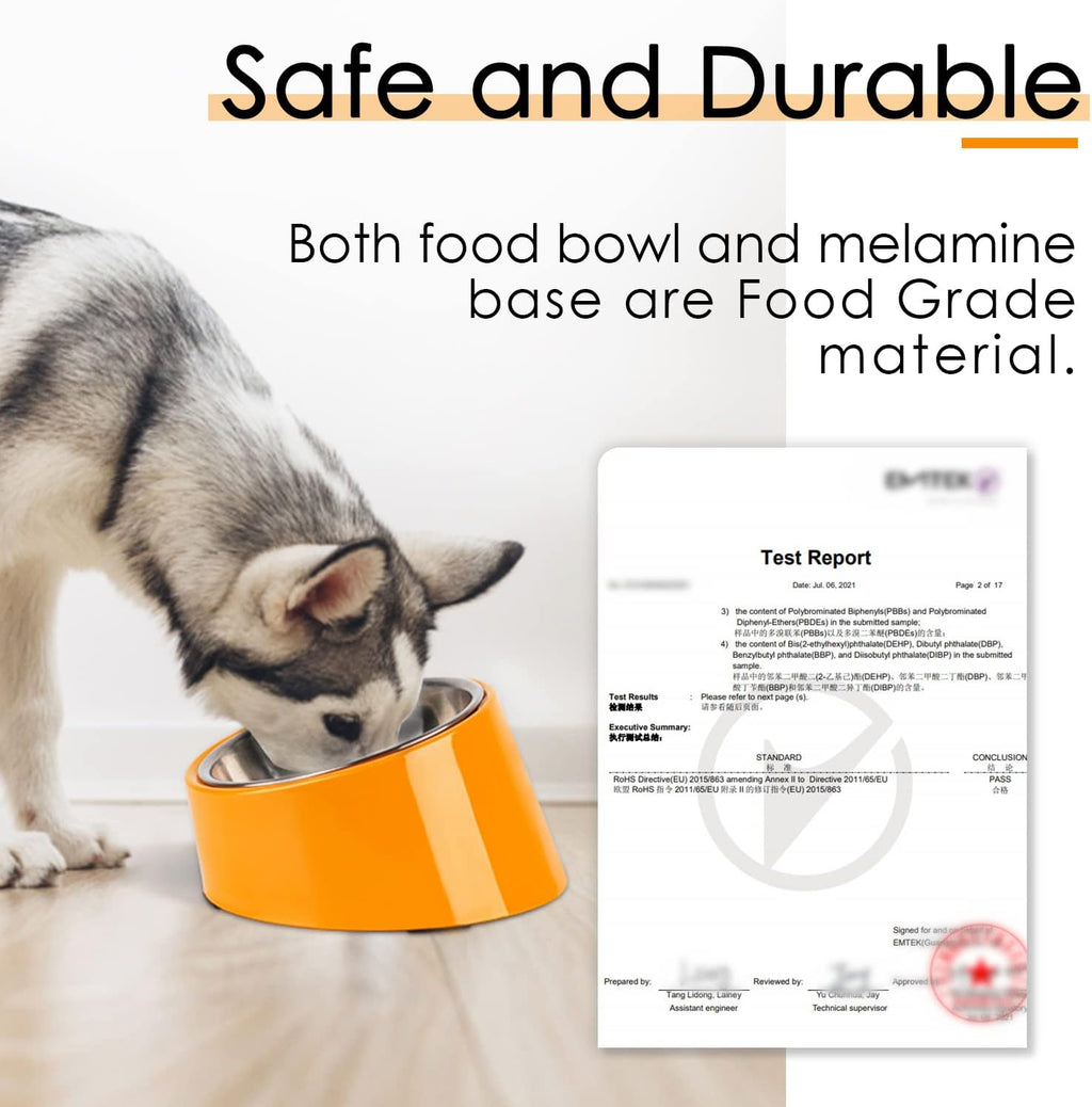 SuperDesign Mess Free 15° Slanted Bowl for Dogs | ObaPet