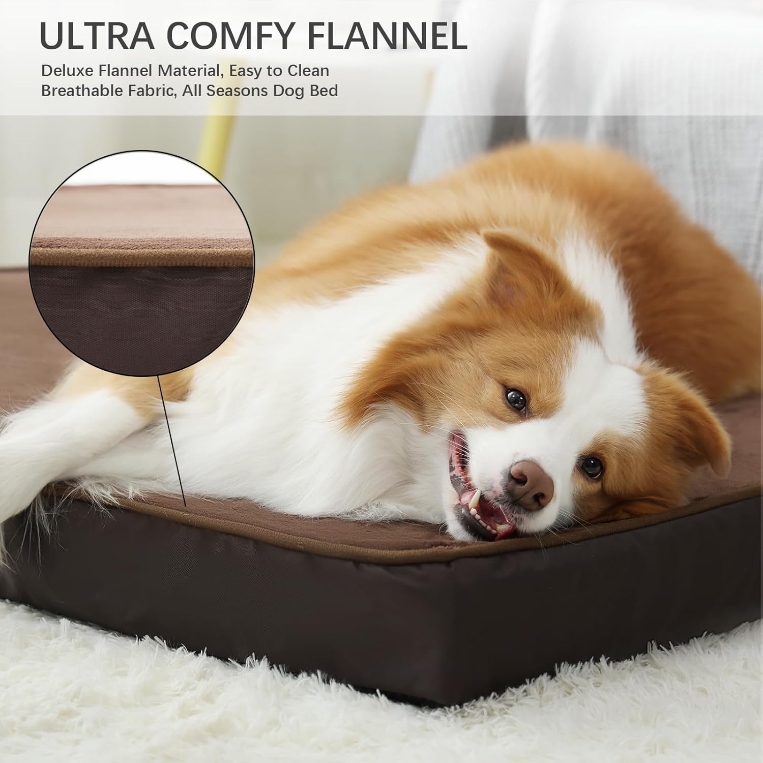 Jaspuriea Orthopedic Dog Beds Washable with | ObaPet