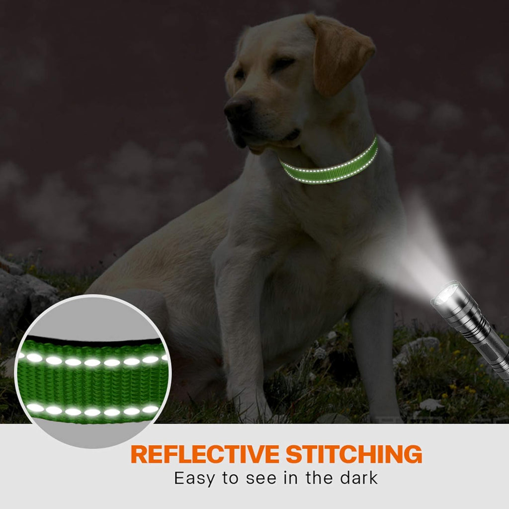 Taglory Reflective Nylon Dog Collar with Safety | ObaPet