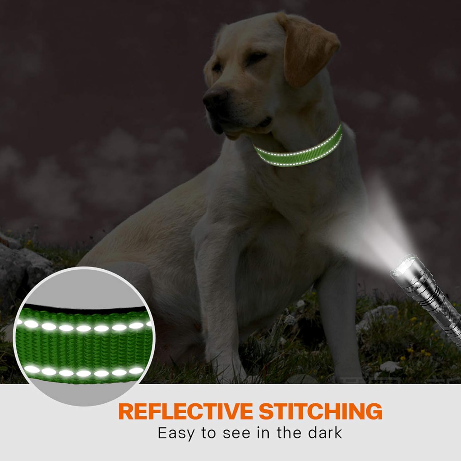 Taglory Reflective Nylon Dog Collar with Safety | ObaPet