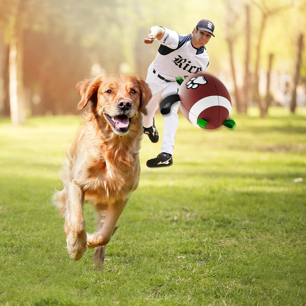 HETOO Interactive Dog Football Toys with Grab Tabs, Durable Dog Water Balls for Small Medium Breed, Indoor & Outdoor